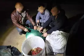 半夜石臼湖偷鱼，抓！图片