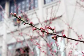 杭州妈妈开家长会，在窗口一坐就是3小时，结果住了院图片