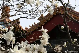 600岁生日快乐，紫禁城图片