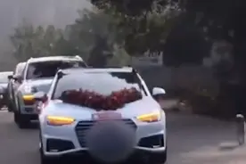 女主人出嫁，狗狗跟随婚车跑了10公里，边跑边看着婚车叫，网友：令人心疼视频封面