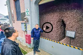 湖北赤壁：茶旅融合开辟脱贫致富新路径图片