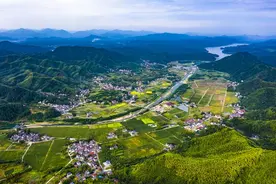 浙报整版丨美丽经济一路生长 安吉乡村振兴绘就新图景图片