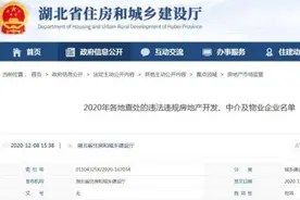 28家房地产、中介、物业企业被集中曝光图片