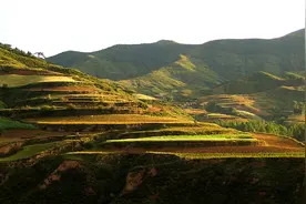 杂粮不“小”产业“不赖”——来自“中国杂粮之都”山西忻州的一线观察图片