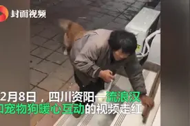 互相治愈！流浪大叔带馒头喂宠物店狗狗，网友：互相治愈的美好图片