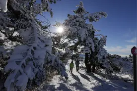白雪黑森林图片