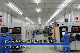 辽宁发布2020年新型创新主体名单视频封面