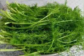 有些蔬菜自带盐分图片