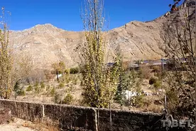 拉萨藏热村“汉族”墓地后人：这里不应该被遗忘图片