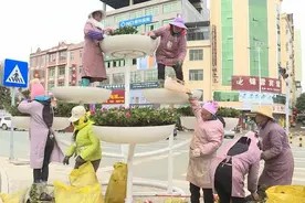 广南：20万盆鲜花让县城颜值“爆表”图片