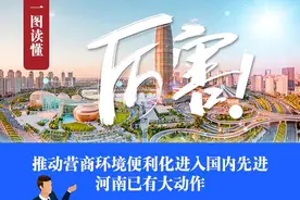 厉害！推动营商环境便利化进入国内先进，河南已有大动作图片