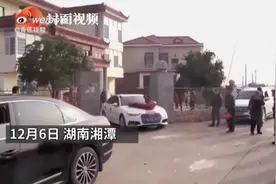 湘潭一女子出嫁，家中狗狗跟婚车狂奔10多公里……图片