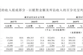 百融拟赴港IPO：数据分析服务贡献近半收入，面临数据隐私监管风险图片