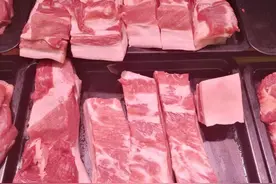 攻关20年种猪仍靠进口 肉盘子端不稳背后：数据太离谱，企业缺合作图片