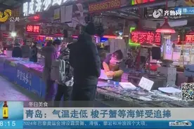气温走低，青岛各类海鲜受热捧，梭子蟹价格走高，最低一斤120元视频封面