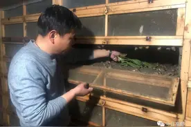 小蜗牛“爬”出致富新路图片