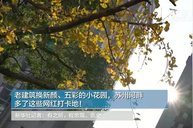 老建筑换新颜、五彩的小花园，苏州河畔多了这些网红打卡地！视频封面