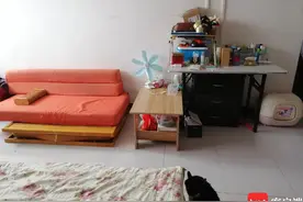 三个月被贼光顾两次住户被吓到搬家 海口华发大厦为何如此招贼图片