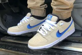 2020 Nike鞋款国内交易量Top 25，Dunk年名副其实，但并不是「销量王」图片