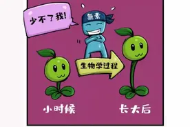 原来豆科与非豆科植物就此有了不同命运，中国科学家回答了百余年来的科学难题图片