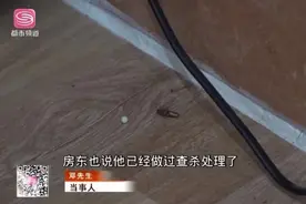 男子睡觉时遭蟑螂入耳，耳膜被咬穿听力下降，更恐怖的是蟑螂有个不为人知的偏好……图片