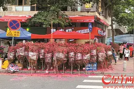 花农 想桃花开得靓卖得好？气象部门建议这样摘桃叶图片