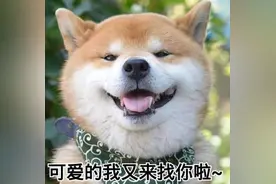 早报超有料丨《世间有她》周迅合作易烊千玺 邓伦故宫大片心动满分图片