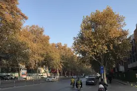 晴天回归！郑州空气质量“改良”，冷空气周六来驱霾图片