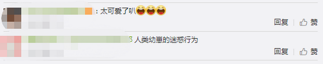 幼儿园午休时间惊现一红一蓝“奥特曼”老师一句话将其“制服”