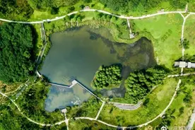 成都市首条永久性智慧跑道、智能机器人……青龙湖湿地公园二期的“黑科技”你体验过了吗？图片