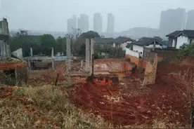 开发商拆千万元别墅挖开山体 涉嫌侵占林地被立案调查图片