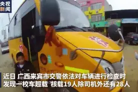 核载19人校车竟塞下29人 交警：罚图片
