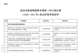 武汉：加快形成至郑州、重庆等城市的“一环八向”铁路快速货运网络图片