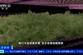 一年可以收获15次！无需土壤和日照，世界最大垂直农场开张图片