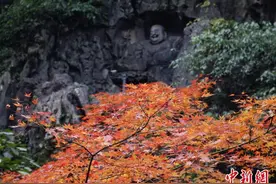 浙江杭州灵隐寺 红枫似火秋意浓图片