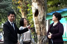 “树洞”后面图片