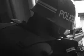 六七十斤的比特犬发狂 咬死同伴后又要攻击主人图片