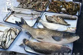 「冰城日历」 云秀哈尔滨 | 12月11日，百姓爱吃的美味——三花五罗十八子图片