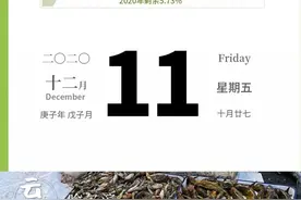 「冰城日历」 云秀哈尔滨 | 12月11日，百姓爱吃的美味——三花五罗十八子图片