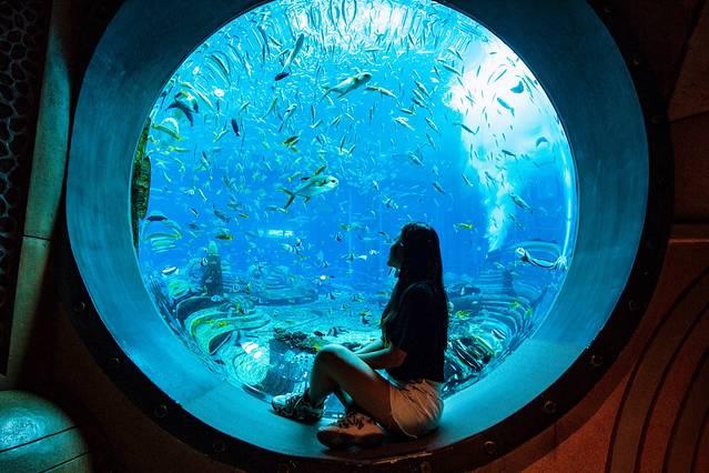 搜寻鬼屋项链攻略（吐血整理三亚海棠湾亚龙湾三亚湾最全攻略）