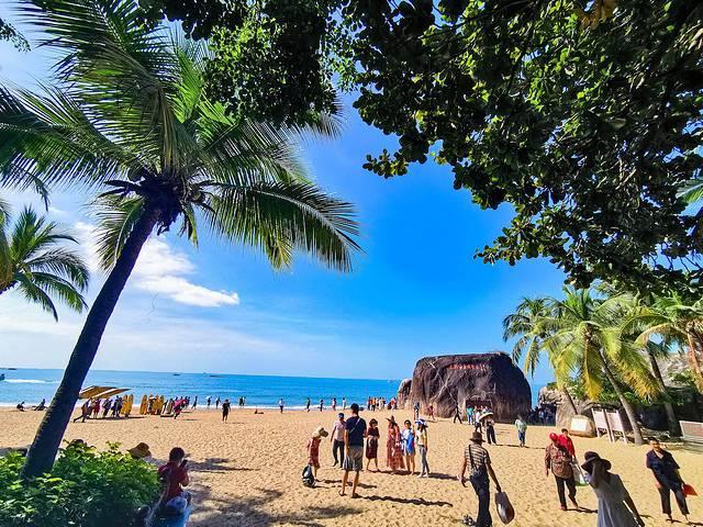 天涯 花胶 2025年花胶 贴吧