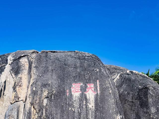 天涯 花胶 2025年花胶 贴吧