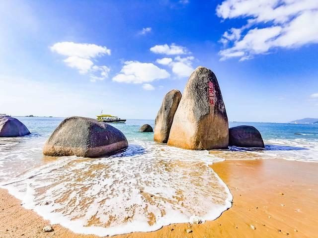 天涯 花胶 2025年花胶 贴吧