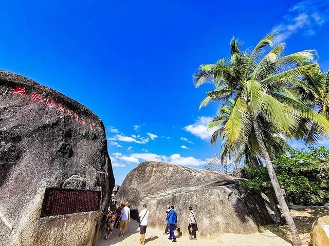 天涯 花胶 2025年花胶 贴吧