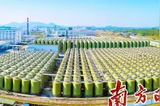阳江阳西县 实干担当奋勇争先，迈入高质量发展快车道图片