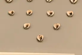 贝饰：来自远古的第一缕审美曙光图片