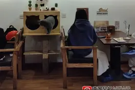 南宁猫咖、狗咖火爆，但卫生……还能放心去吗？图片