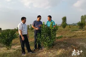 河唇镇乡贤钟冠杰获评“广东好人”回乡“二次创业”图片