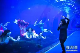 “美人鱼”刘兰：我与海洋有个“约会”图片