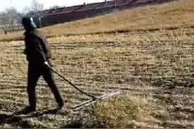 难忘儿时搂柴火图片